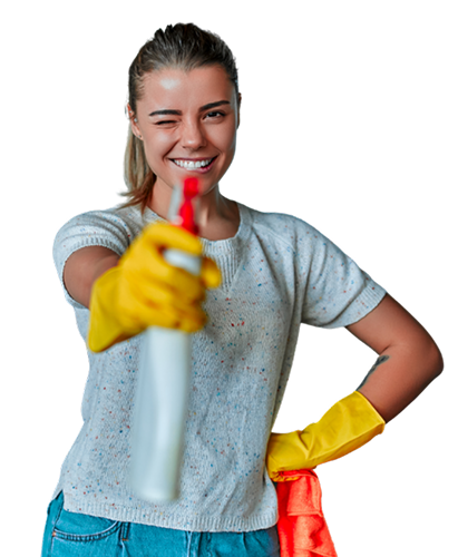 Professional Cleaner
